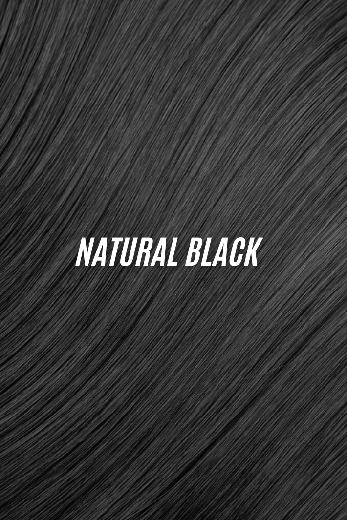 "The Novella" Black Ponytail